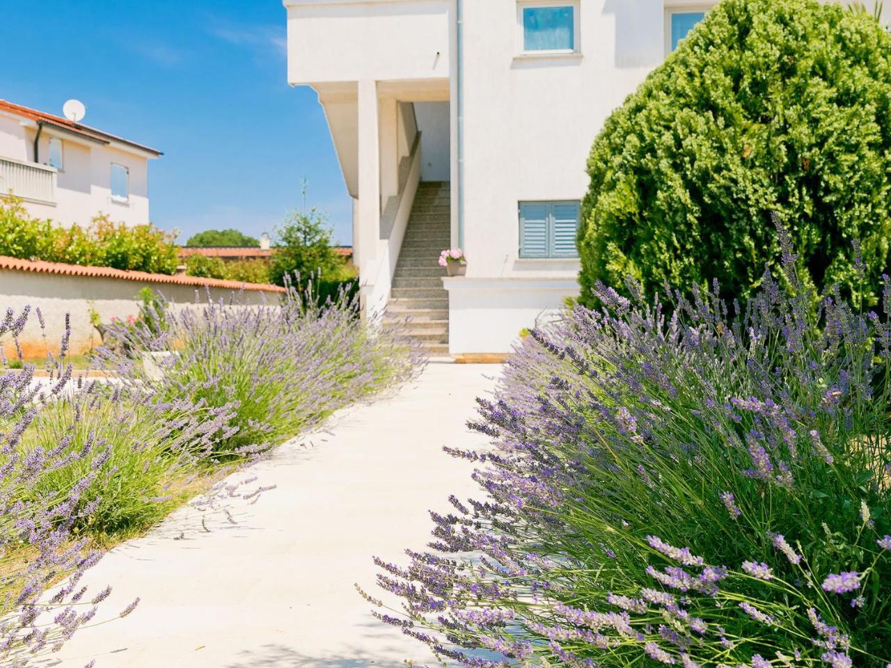 Apartment Noa Πούλα Εξωτερικό φωτογραφία